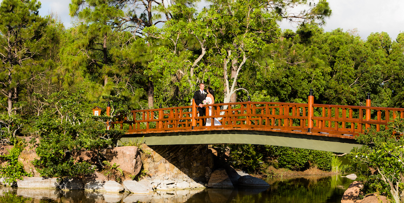 Affordable wedding photography packages for Morikami Japanese Gardens Wedding and Engagement Photography