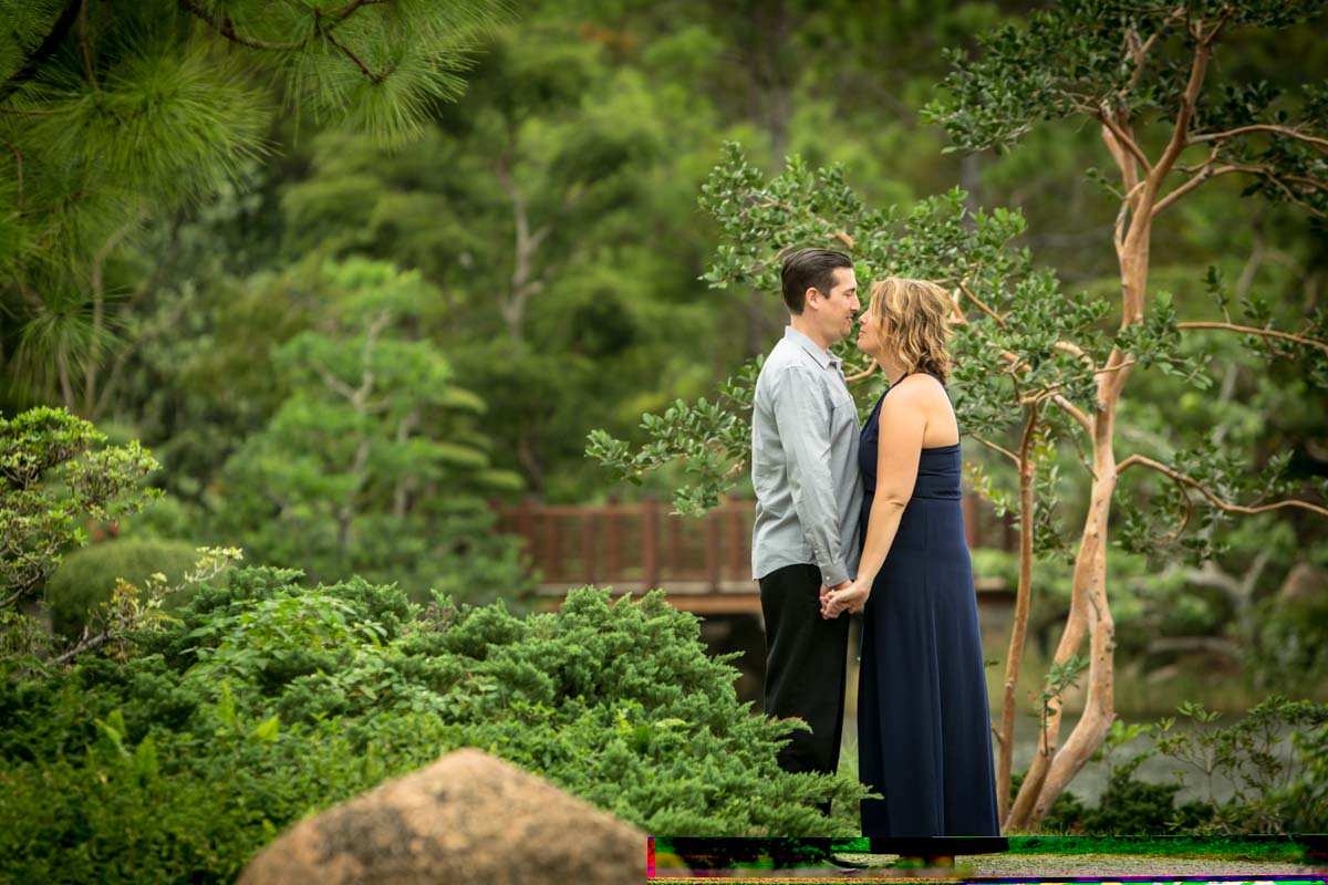 Crystal & Eric's Boca Raton Engagement Photography at Morikami Japanese Gardens Pictures